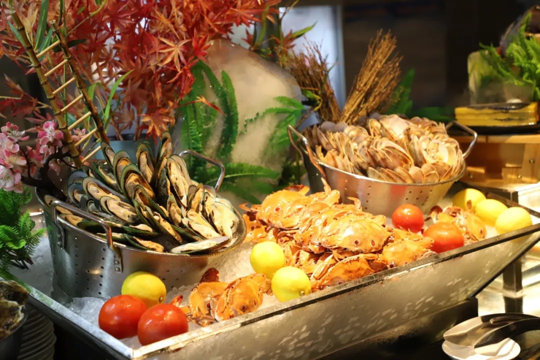 粤港澳展会排期