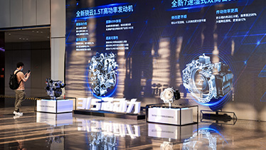 深圳坪山燕子湖国际会展中心