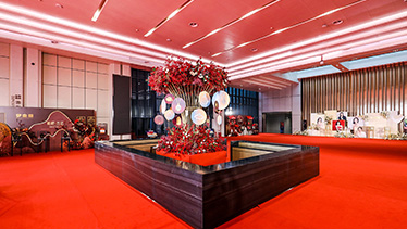 深圳坪山燕子湖国际会展中心