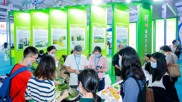 深圳坪山燕子湖国际会展中心