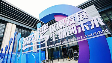 深圳坪山燕子湖国际会展中心