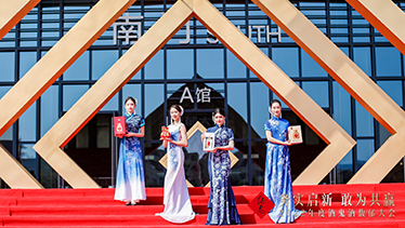 深圳坪山燕子湖国际会展中心