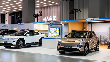 深圳坪山燕子湖国际会展中心